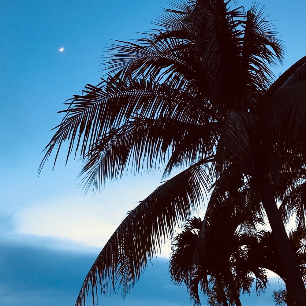 Meet your Posher, Aj